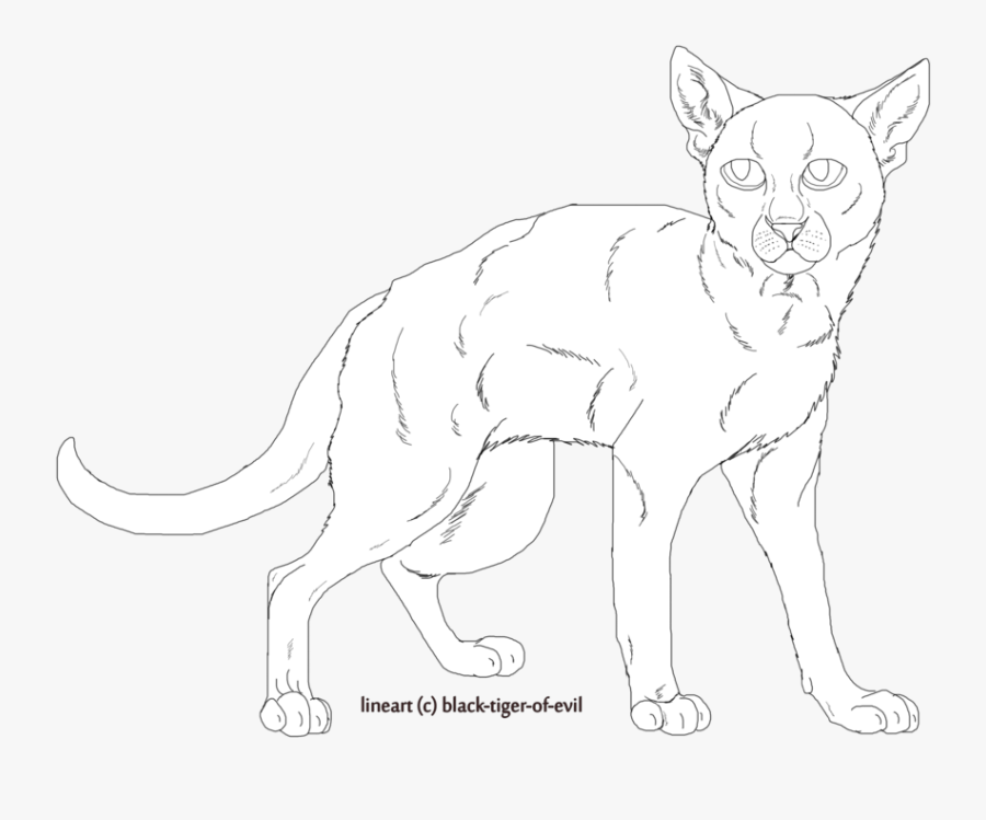 Coyote Drawing Standing - Line Art, Transparent Clipart