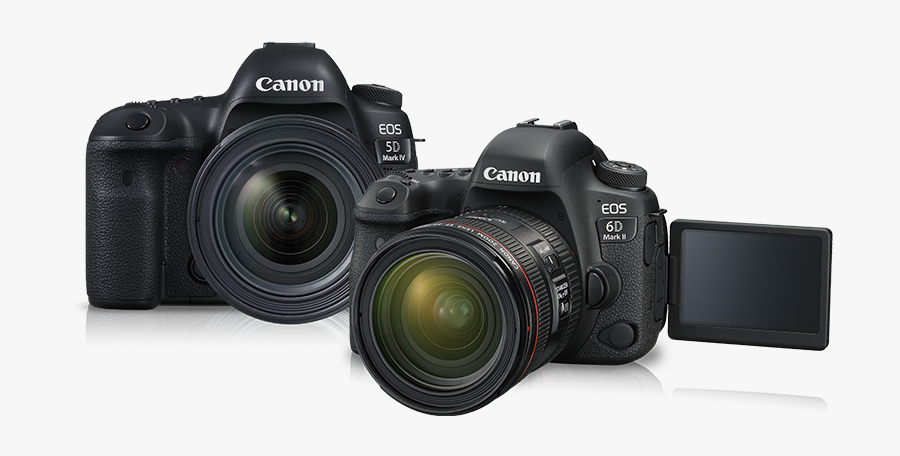 Canon 5d Mark Iv Price In Japan, Transparent Clipart