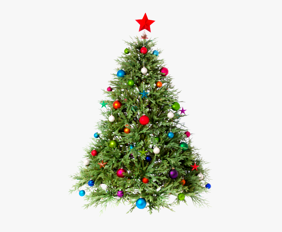 Transparent Christmas Tree - Christmas Tree Images Png, Transparent Clipart