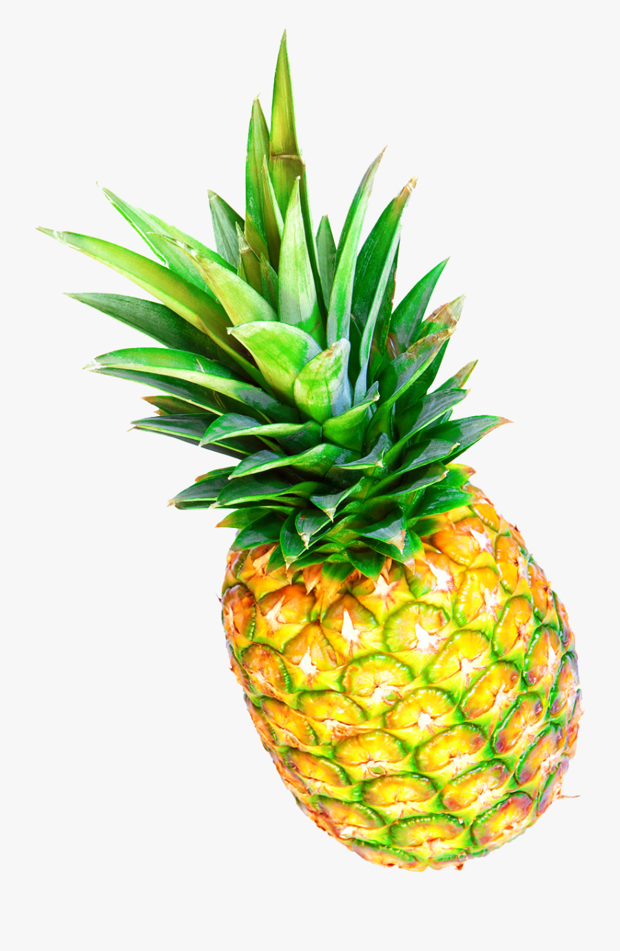 Pineapple Tropical Fruit Photography - Piña Tropical Png, Transparent Clipart