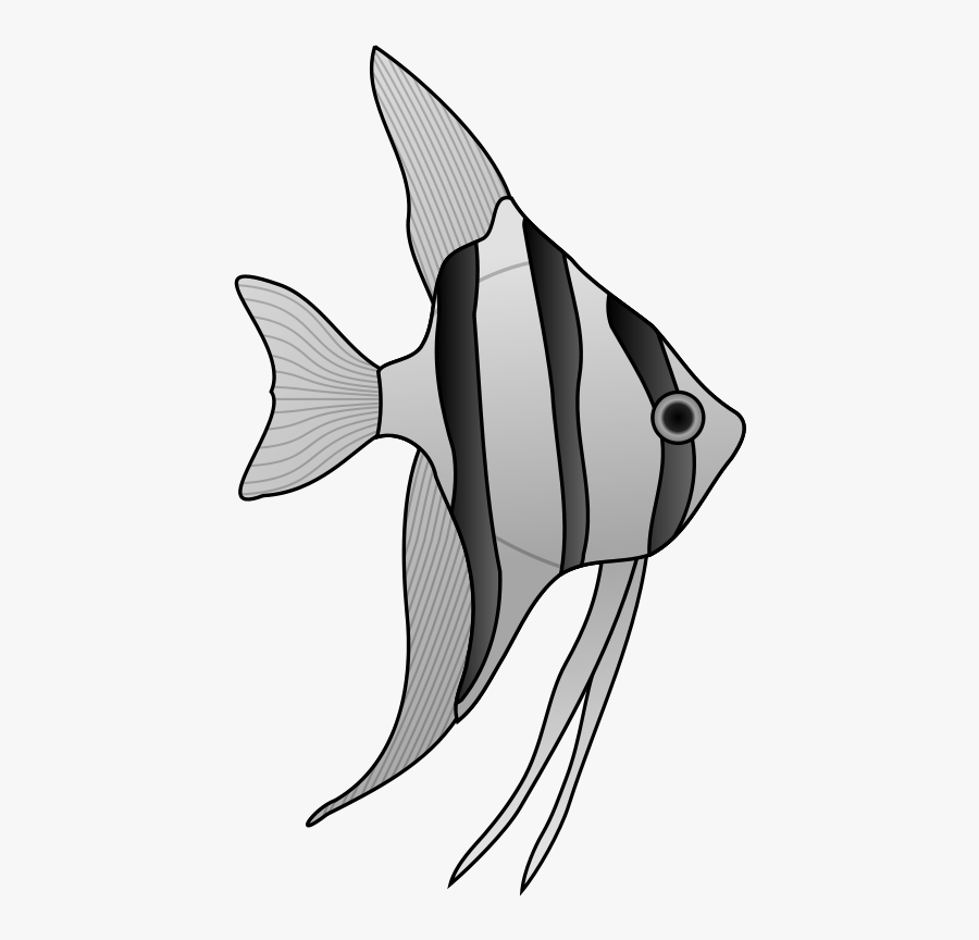 Angelfish Clip Art, Transparent Clipart