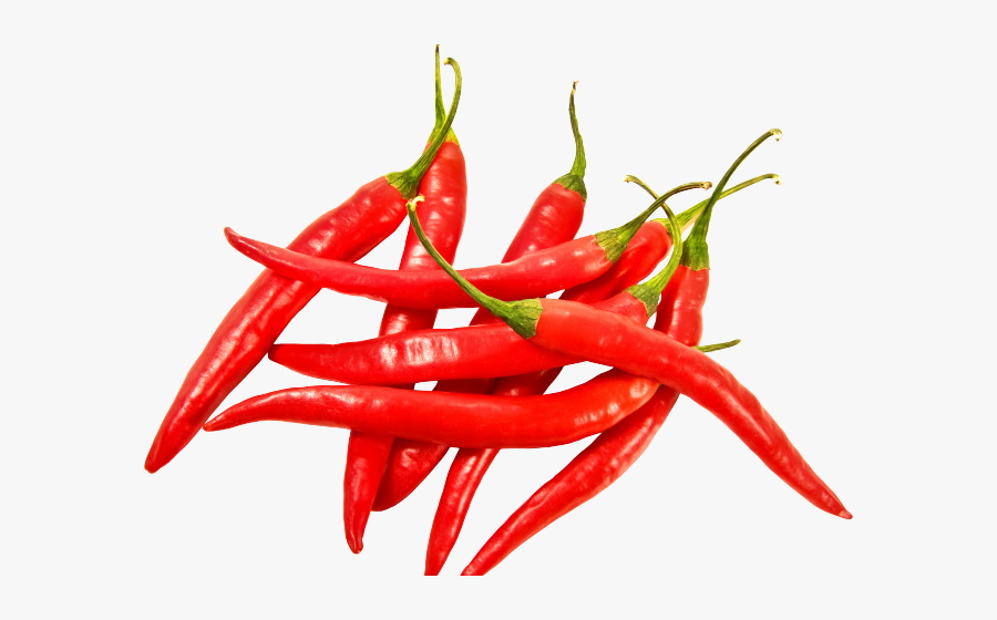 Chile Clipart Habanero Pepper - Red Chili Pepper Png, Transparent Clipart