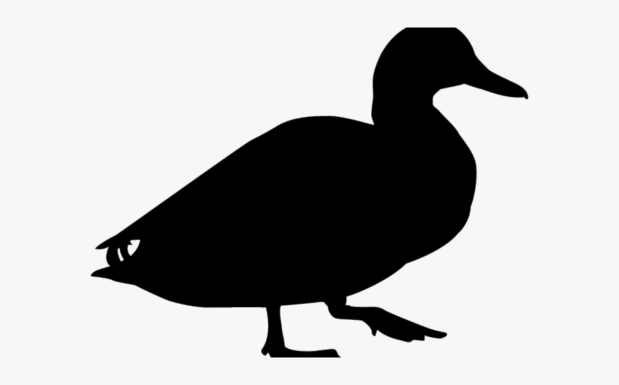Shape Clipart Duck - Blue Winged Teal Silhouette, Transparent Clipart