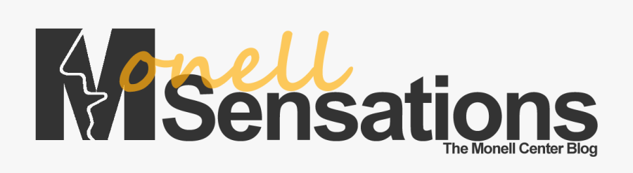 Fête De La Musique, Transparent Clipart