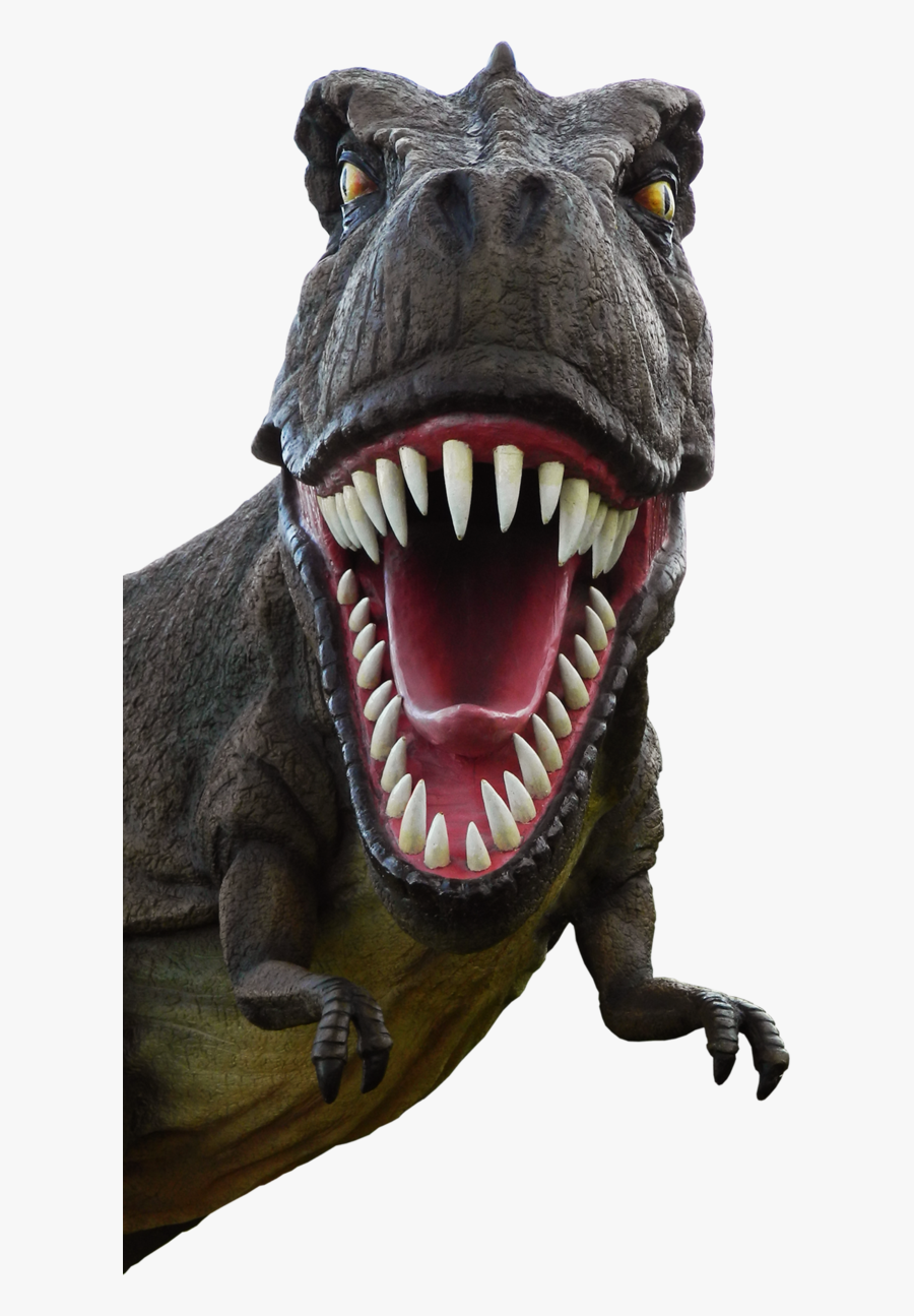 Dinosaur Png - Dinosaur Head Transparent Background, Transparent Clipart