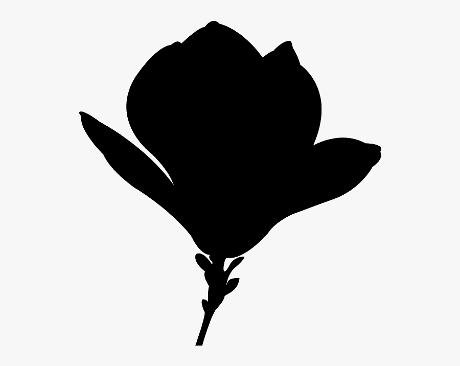 Листик Березы Вектор Силуэт, Transparent Clipart