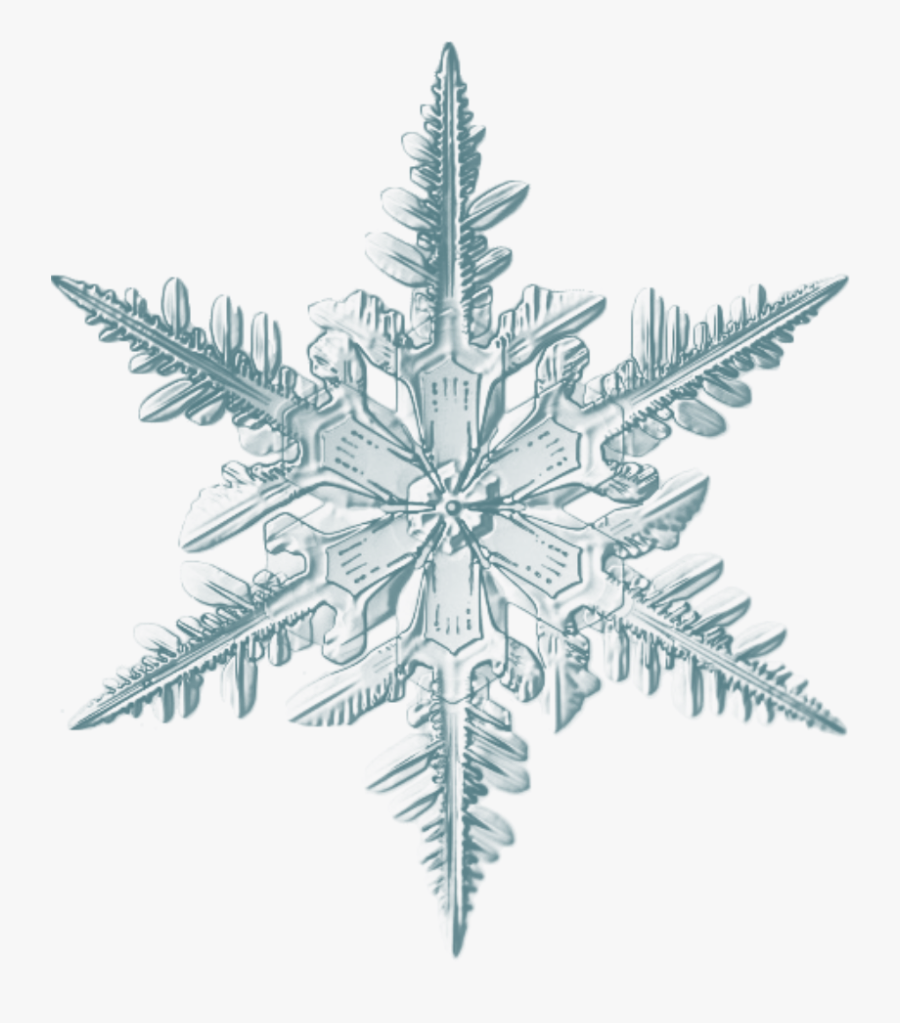 Realistic Snowflake, Transparent Clipart