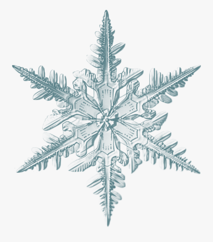 Realistic Snowflake , Free Transparent Clipart - ClipartKey