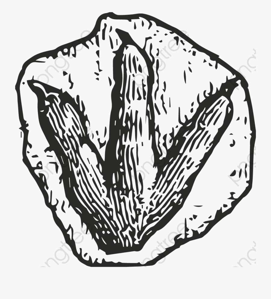 Fossil Clipart Vector - Dinosaur Footprint Clipart, Transparent Clipart