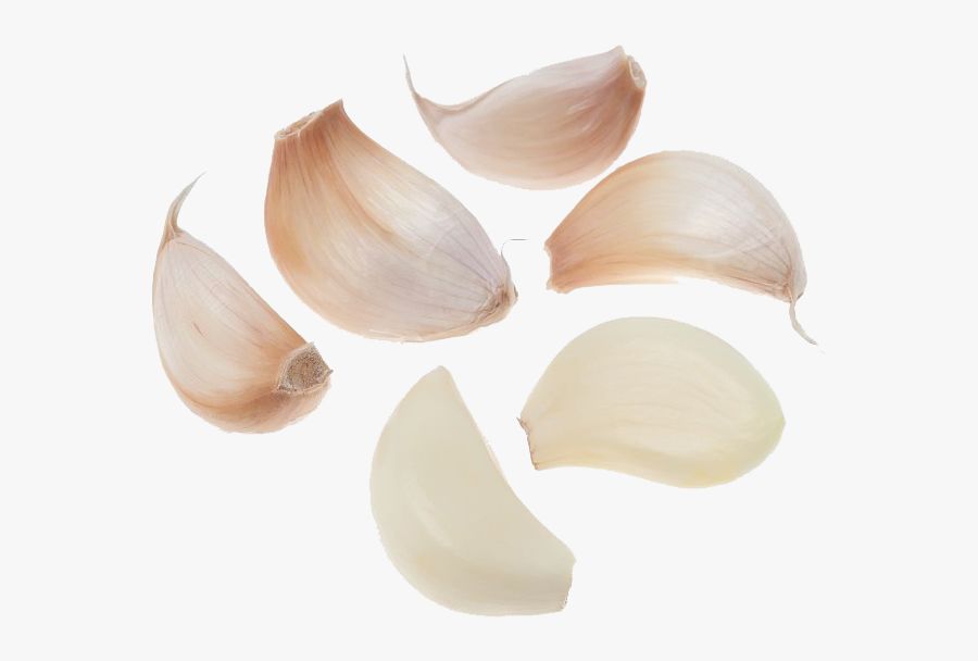 Solo Garlic Oil Of Clove Mincing Food - Garlic Cloves Transparent Background, Transparent Clipart