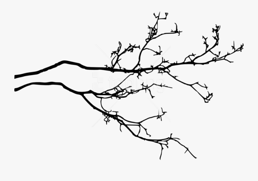 Tree Branch Png - Tree Branch With Leaves Silhouette Png, Transparent Clipart