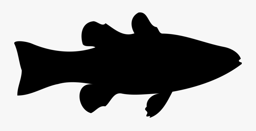Cardinalfish - Clipart Fish Silhouette, Transparent Clipart