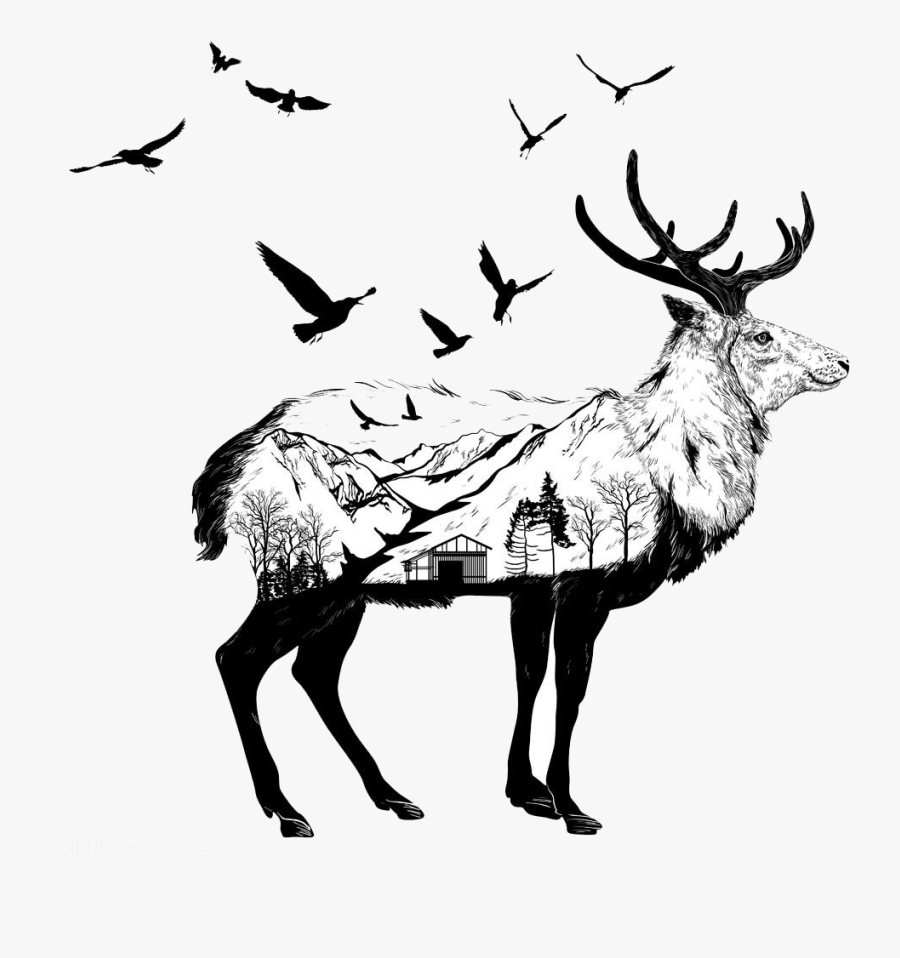 Transparent Wildlife Clipart Images - Creative Wild Life Drawing, Transparent Clipart