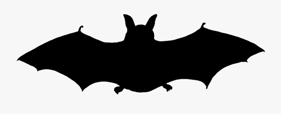 Halloween Bat Silhouette - Portable Network Graphics, Transparent Clipart
