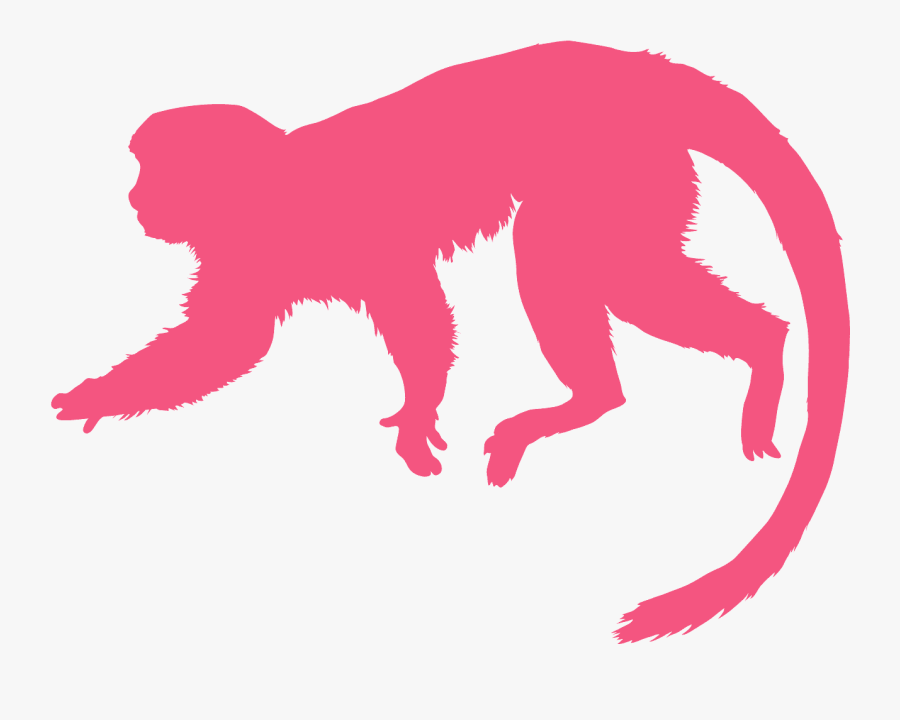 Green Monkey Silhouette, Transparent Clipart