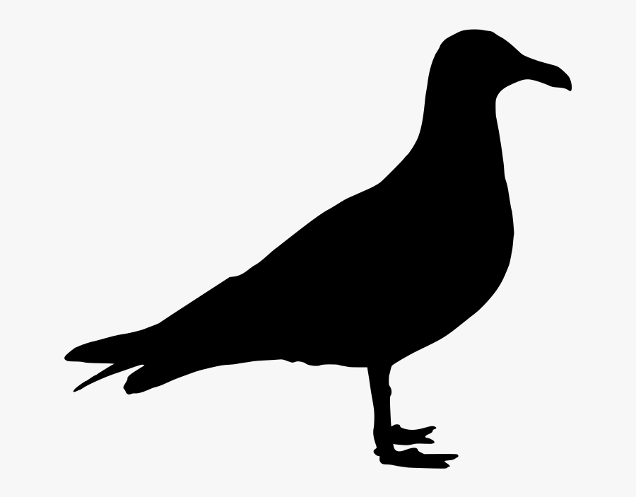 Seagull Png Silhouette Clipart , Png Download - Transparent Background Pigeon Silhouette Png, Transparent Clipart