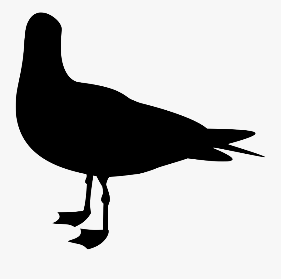 Transparent Seagull Silhouette Png - Gulls, Transparent Clipart