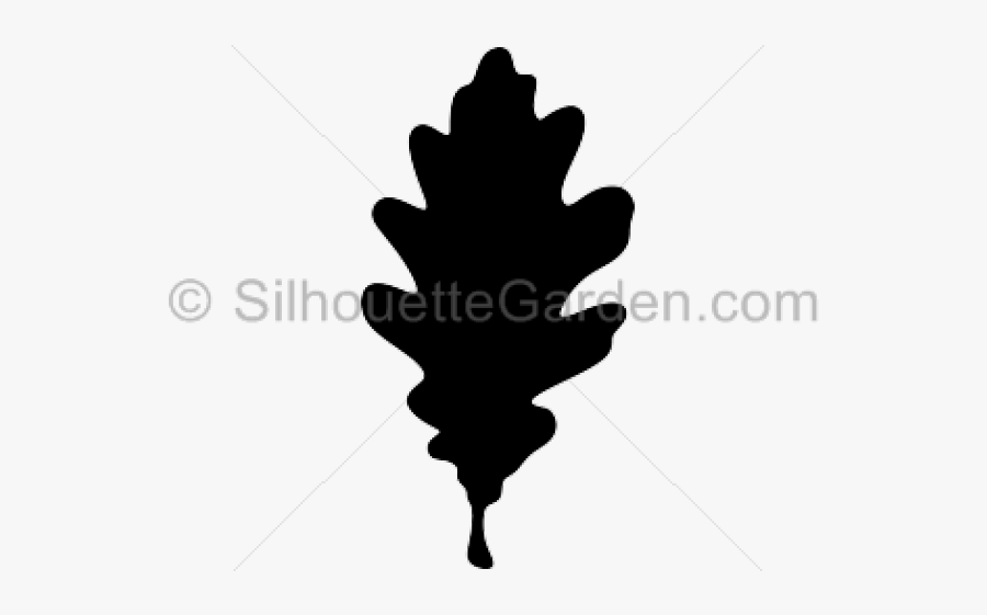 Silhouette Clipart Leaf - Illustration, Transparent Clipart