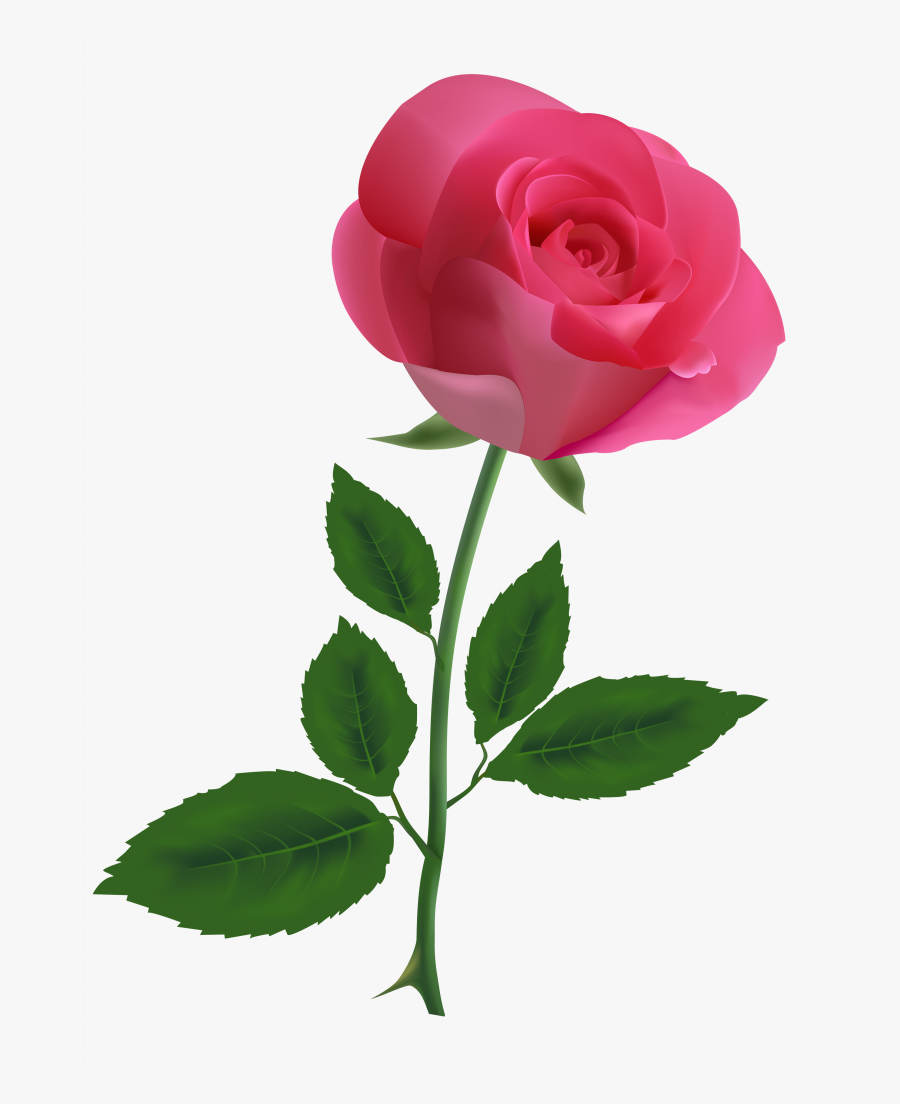 Free Clip Art Roses - Pink Rose Clipart, Transparent Clipart