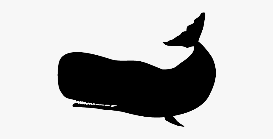 Transparent Whale Silhouette, Transparent Clipart