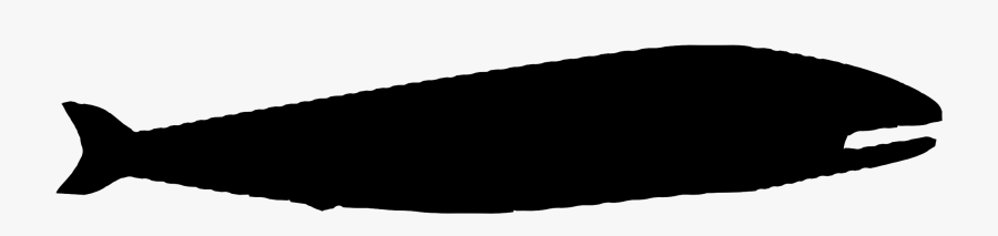 Whale Clip Arts - Silhouette, Transparent Clipart