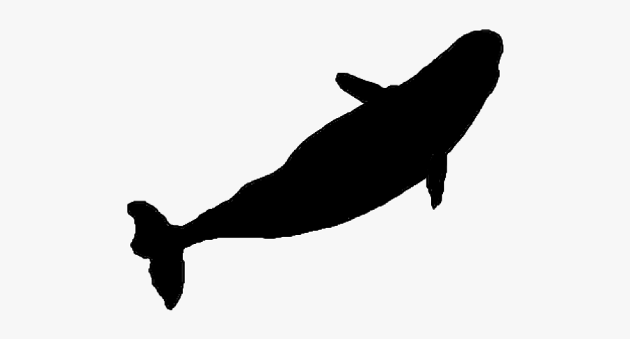 Whale Silhouette - Blue Whale Silhouette Top, Transparent Clipart