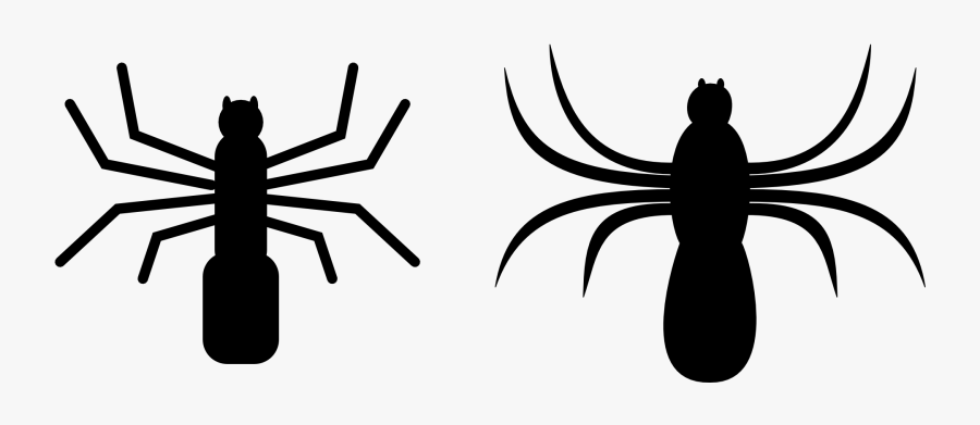 Spider Web Clip Art - Spiders Clip Art, Transparent Clipart