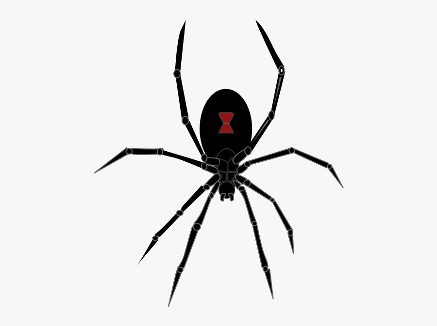 Spider Redback Southern Black Widow Clip Art Cartoon - Black Widow Spider Png, Transparent Clipart