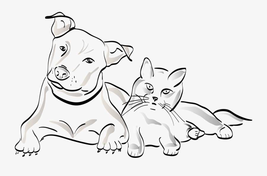 Transparent Dog Cat Png - Dog And Cat Sketch, Transparent Clipart