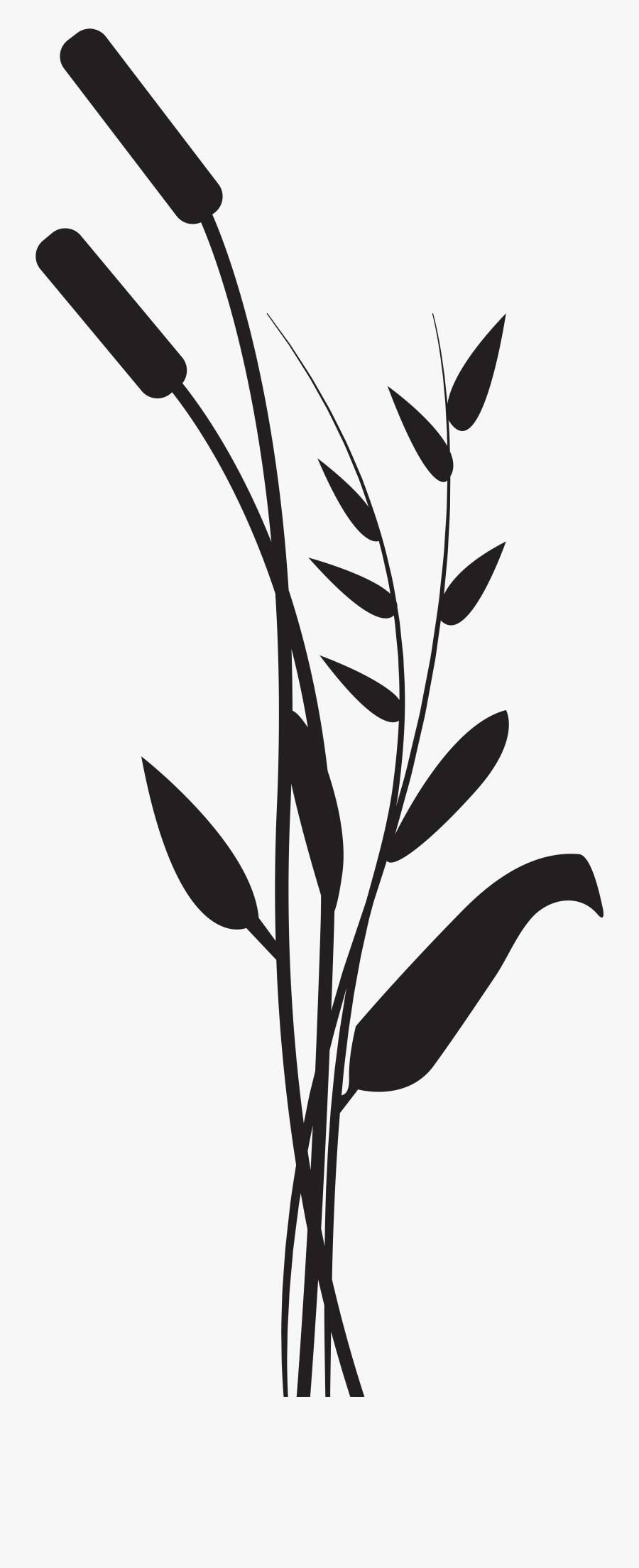 Silhouette Drawing Photography Clip Art - Bulrush Png, Transparent Clipart
