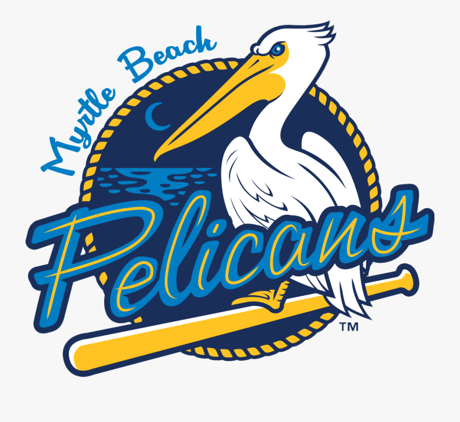 Clip Art Myrtle Beach Pelicans Game - Logo Myrtle Beach Pelicans, Transparent Clipart