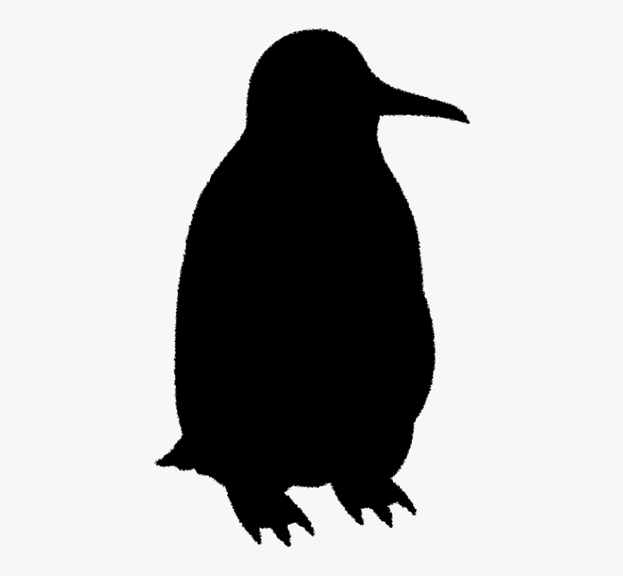Penguin Clip Art Fauna Beak Silhouette - Penguin, Transparent Clipart