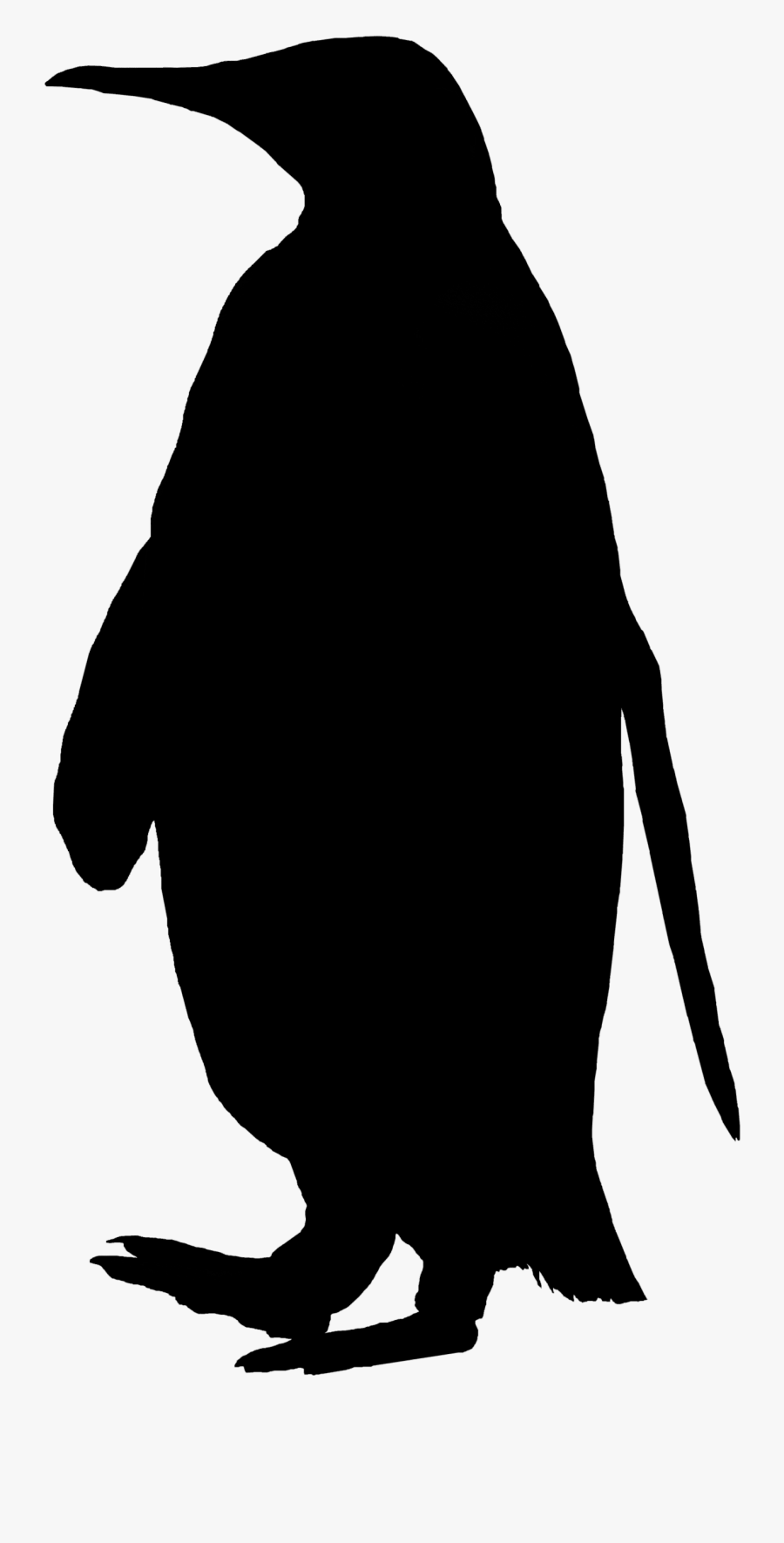 Penguin Clip Art Fauna Silhouette Beak - Adã©lie Penguin, Transparent Clipart
