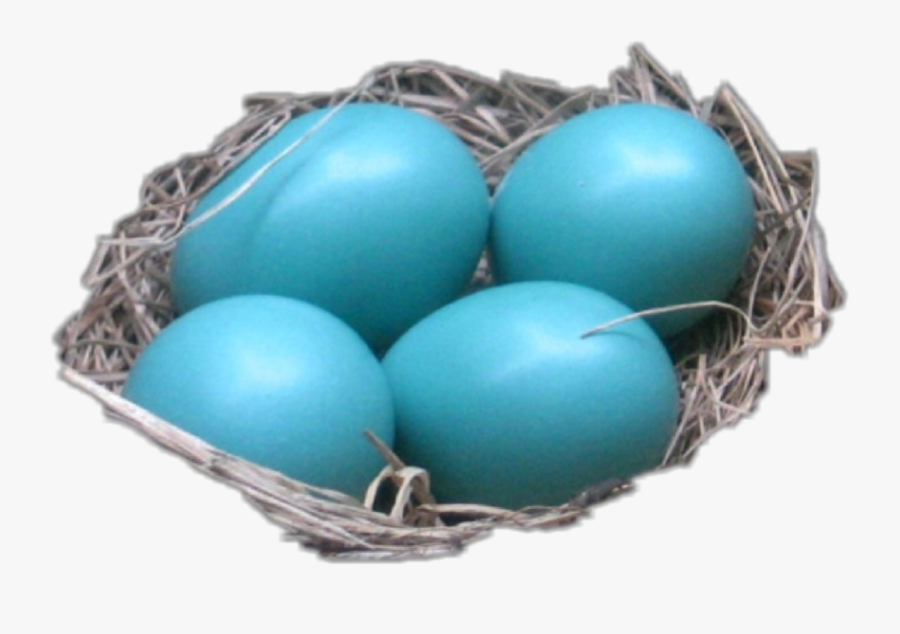 Blue Eggs In Nest - Nest, Transparent Clipart