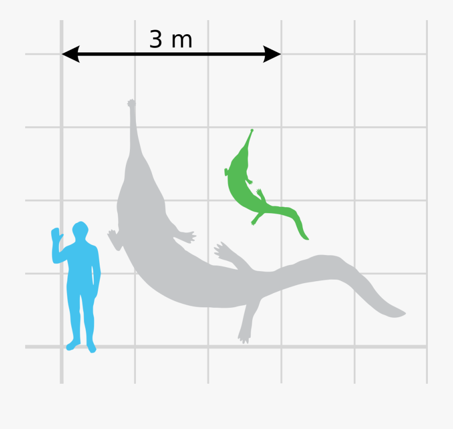 Convergent Evolution Clipart - Прионозух, Transparent Clipart