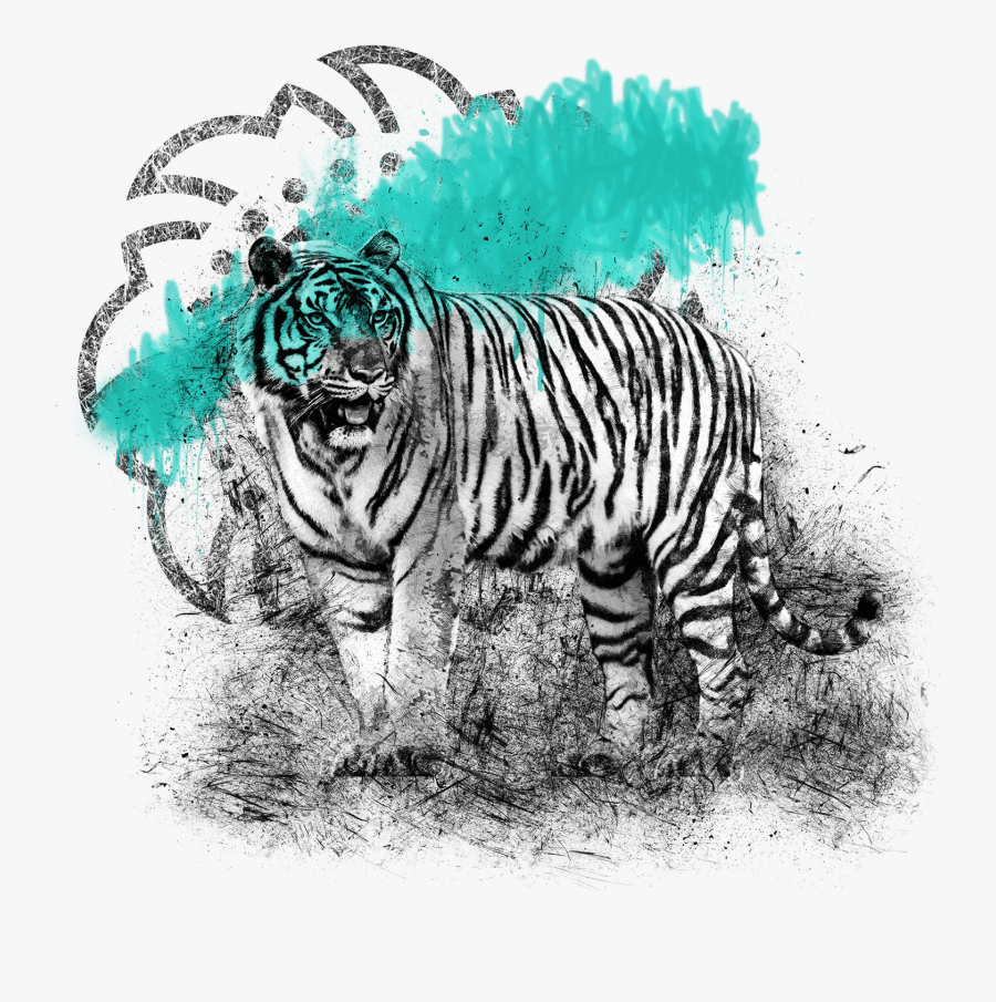 Thai Food Birmingham Artwork - Siberian Tiger, Transparent Clipart