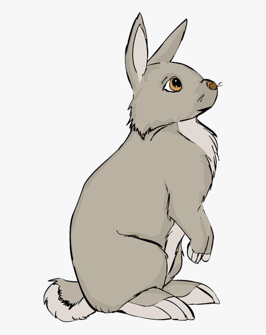 A Brown Bunny - Rabbit Sitting Clipart, Transparent Clipart