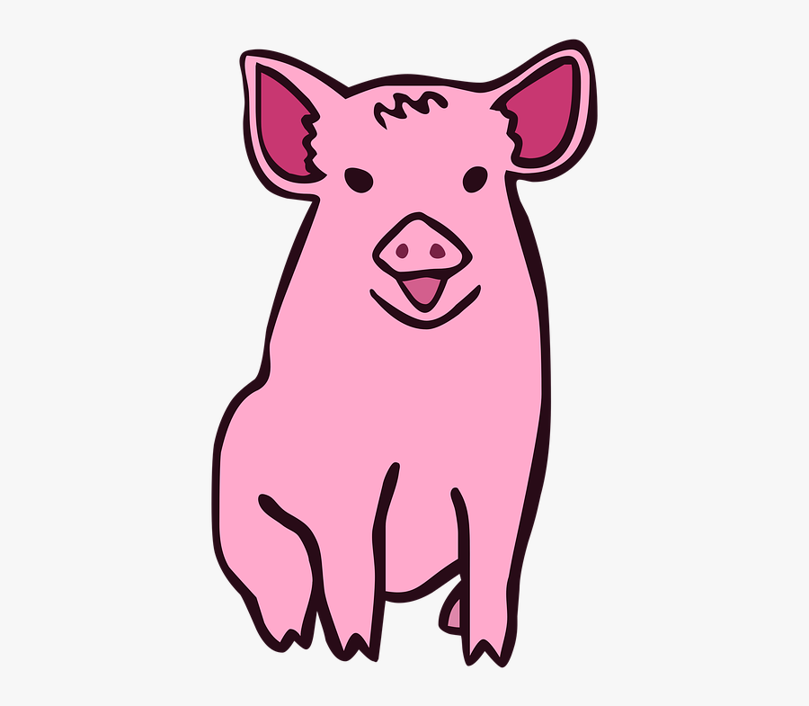 Pig Cartoonish - 30 50 Feral Hogs Memes, Transparent Clipart