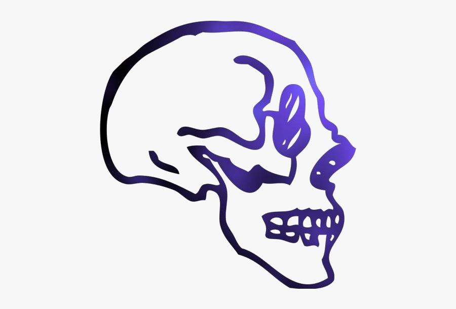 Skull Side Borders Png Transparent Images - Skull Profile Art Png, Transparent Clipart