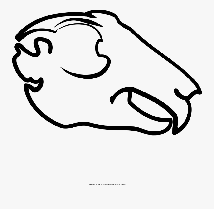 Animal Skull Coloring Page - Clip Art Animal Skull, Transparent Clipart