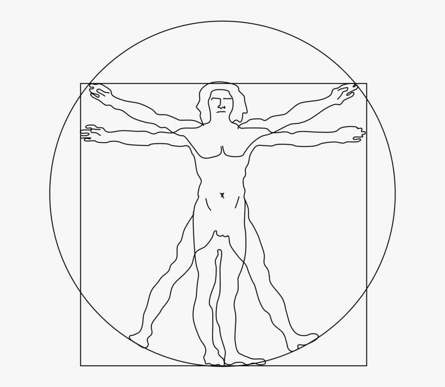 Art,symmetry,figure Drawing - Vitruvian Man Transparent Background, Transparent Clipart