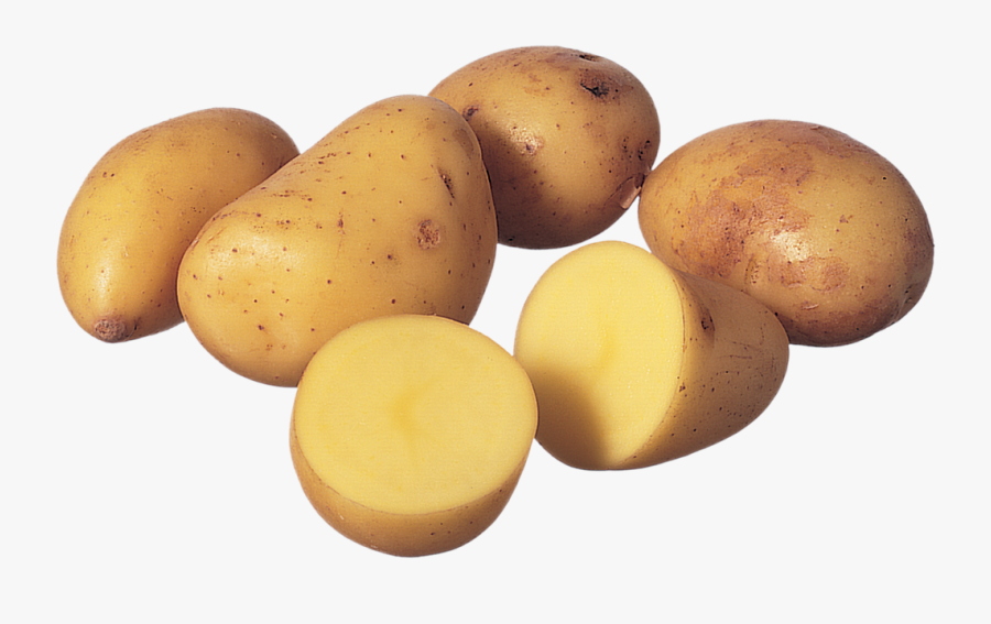 Potatoes - Yukon Gold Potato, Transparent Clipart