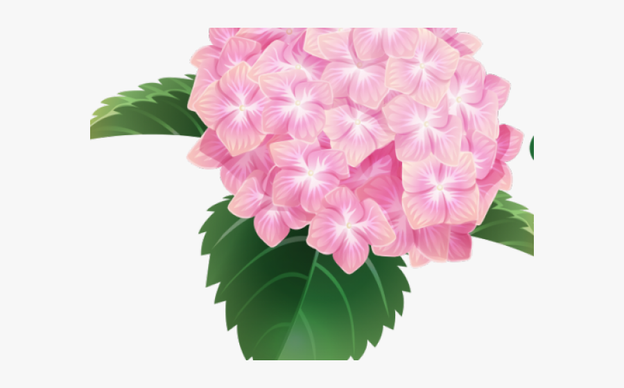 Clipart Wallpaper Blink - Pink Hydrangea Clip Art, Transparent Clipart
