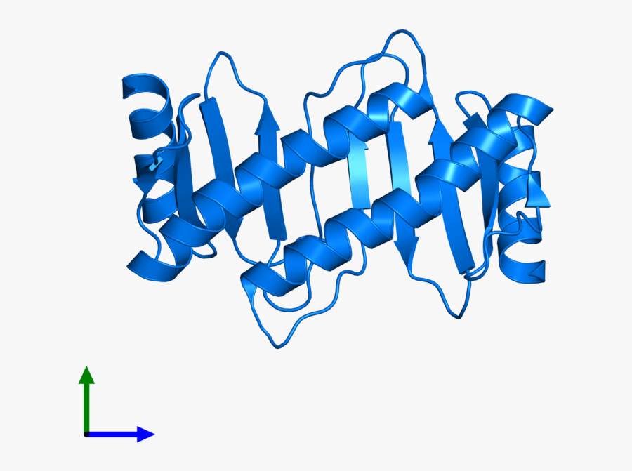 Calligraphy, Transparent Clipart