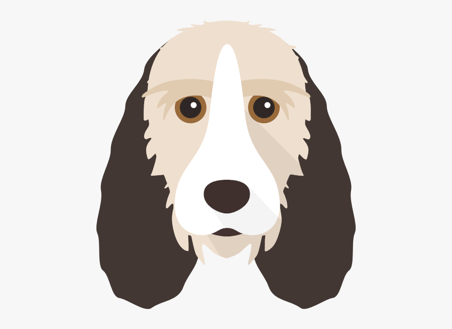 Basset Hound, Transparent Clipart