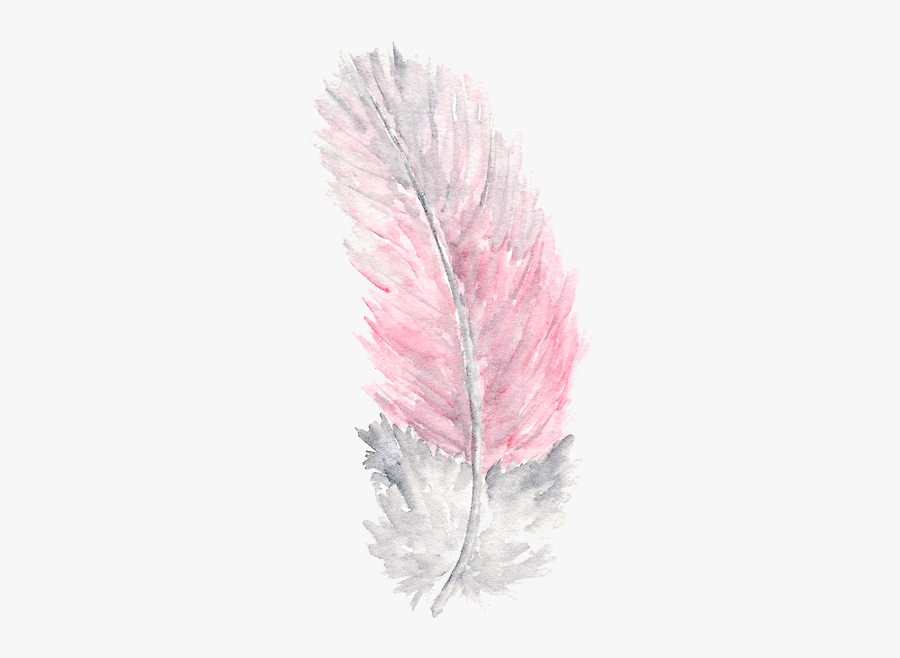 Feather Clipart Rose Gold - Feather Watercolor Png, Transparent Clipart