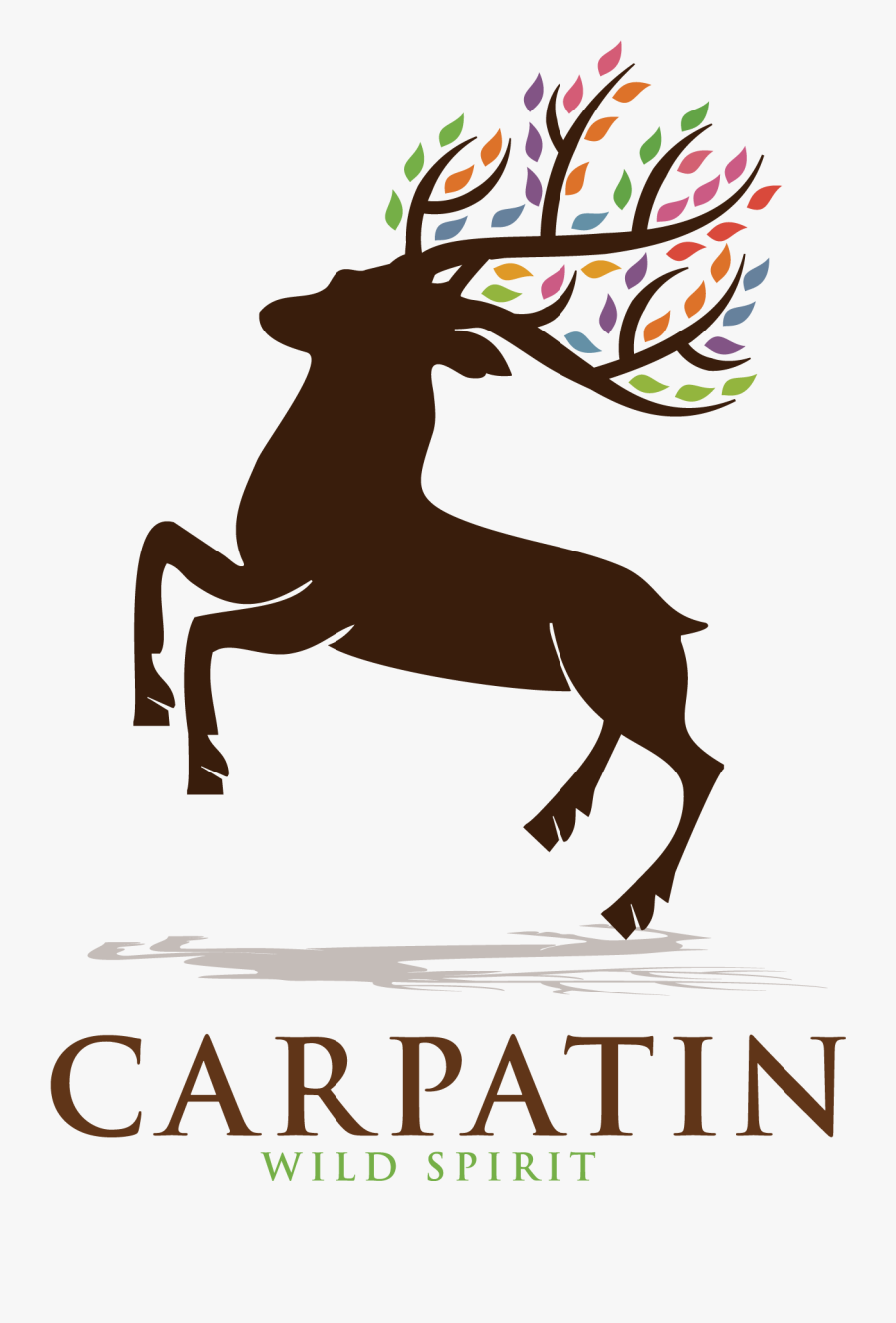 Vector Graphics, Transparent Clipart