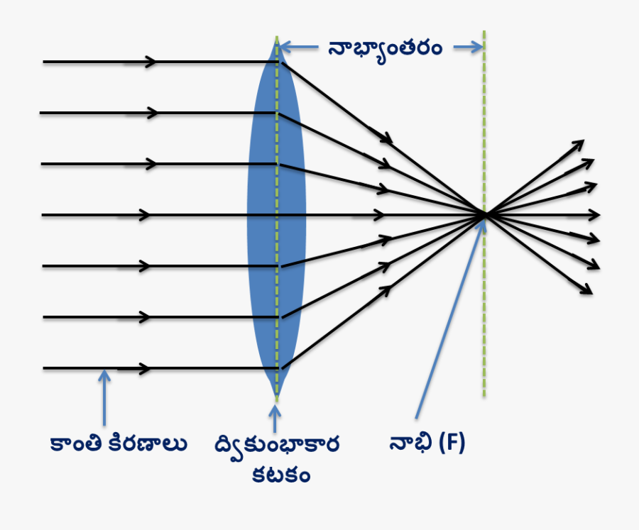 Converging Light Rays - Converging Rays, Transparent Clipart