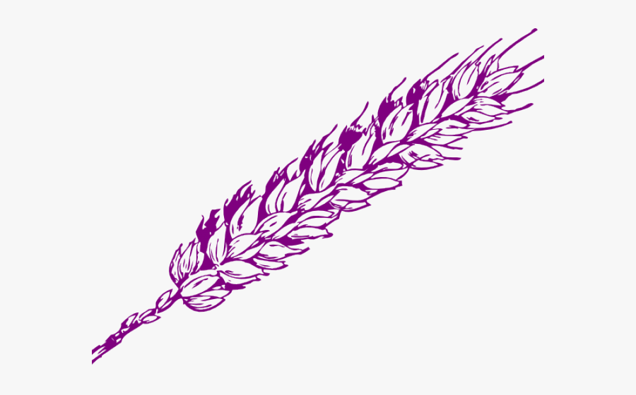 Wheat Clip Art, Transparent Clipart