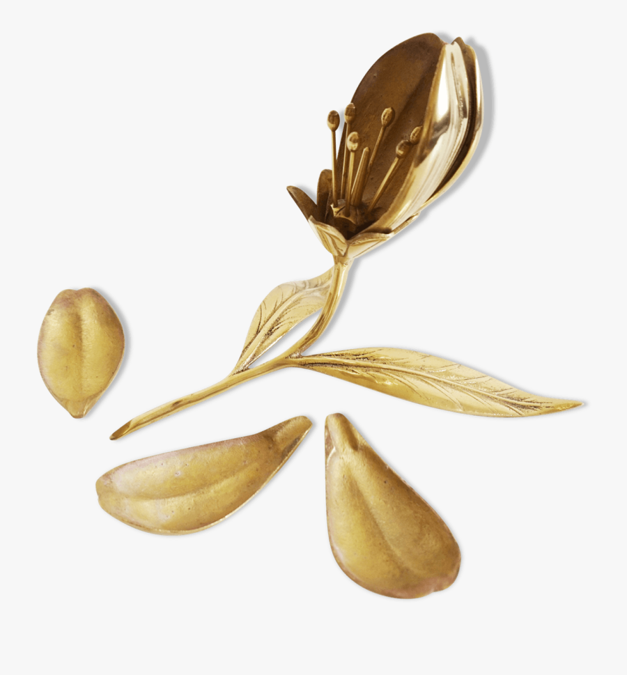 Lily Transparent Vintage - Southern Magnolia, Transparent Clipart